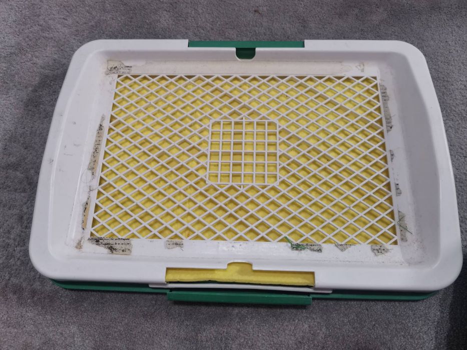 Тоалетна за куче