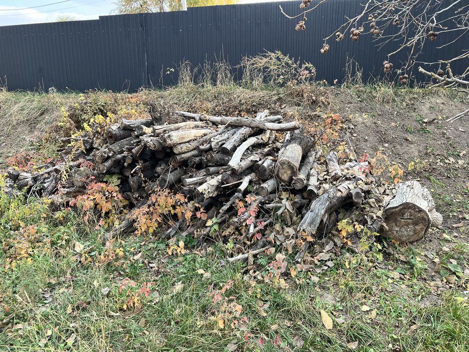 Дрова фруктовые бесплатно