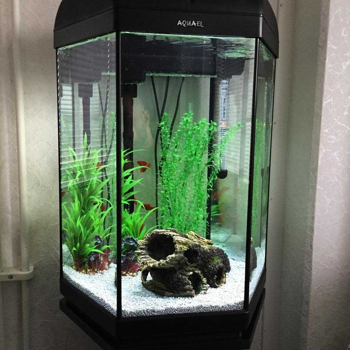 Acvariu Aquael Hexaset 60 l pompa filtrare incalzitor iluminare led