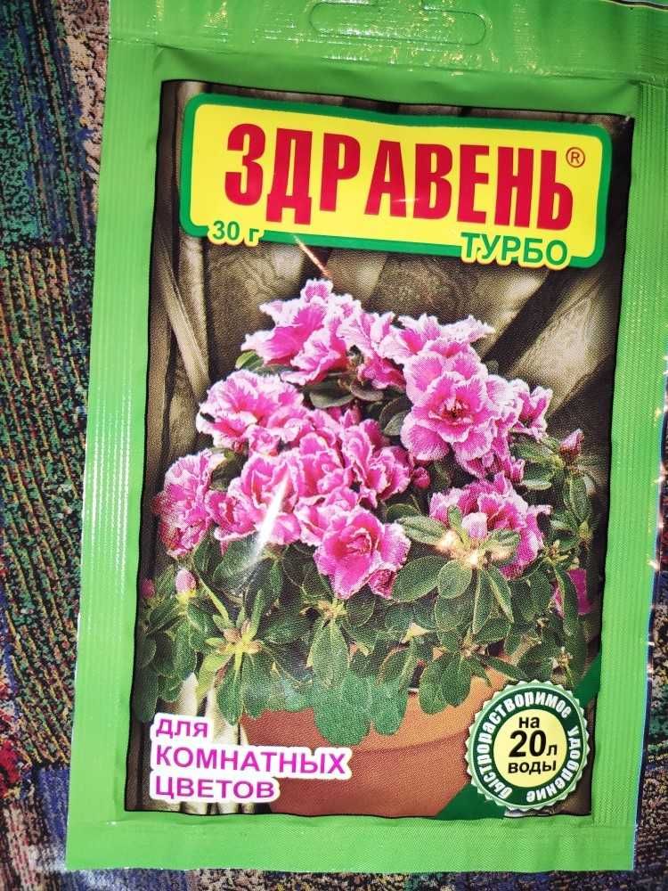 Цветы домашние  - адаптированные