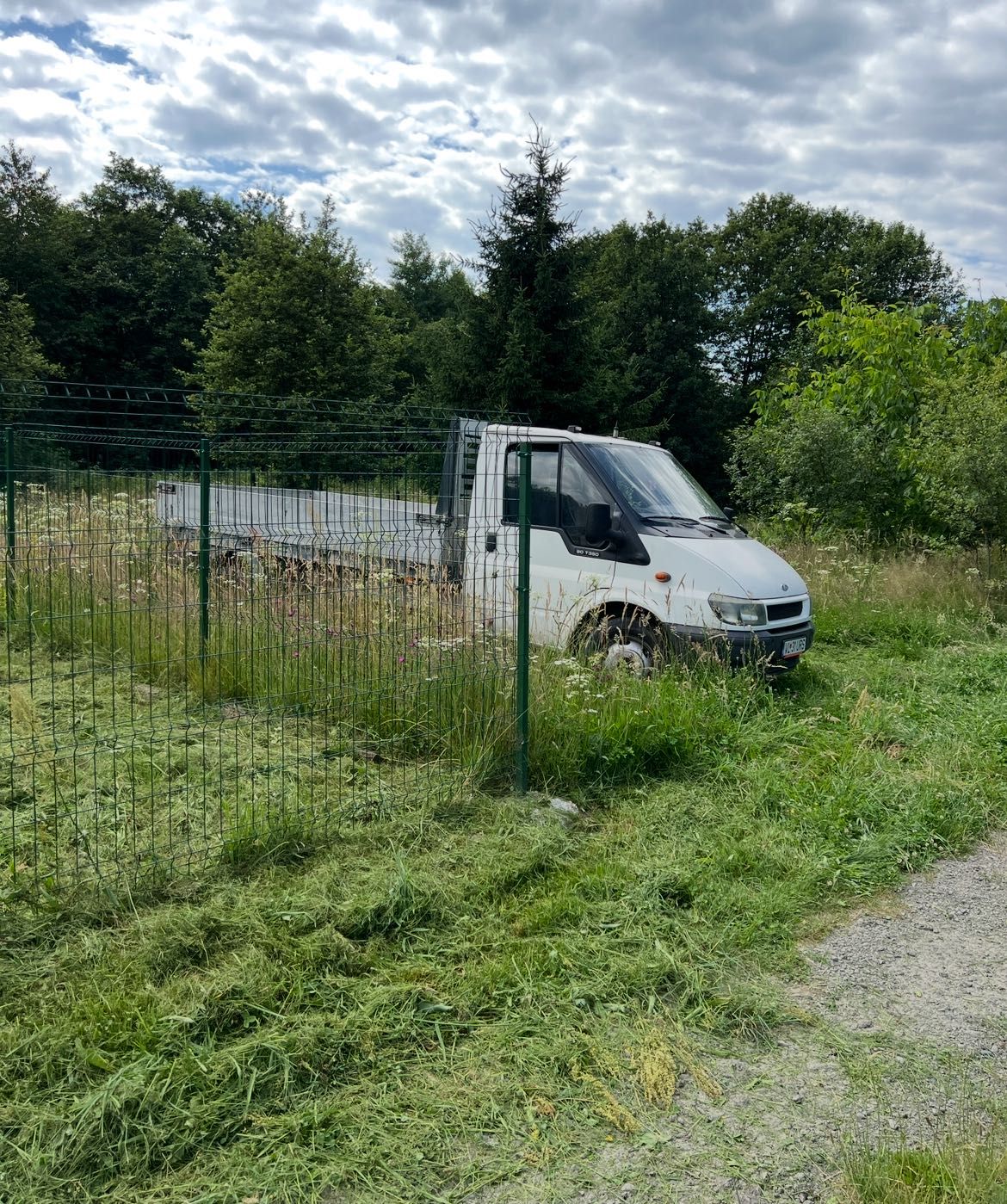 Ford Transit Nebasculabil