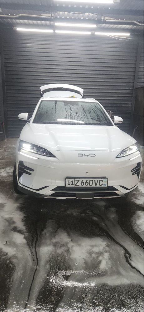 Byd chimpion 2024 yil arenda
