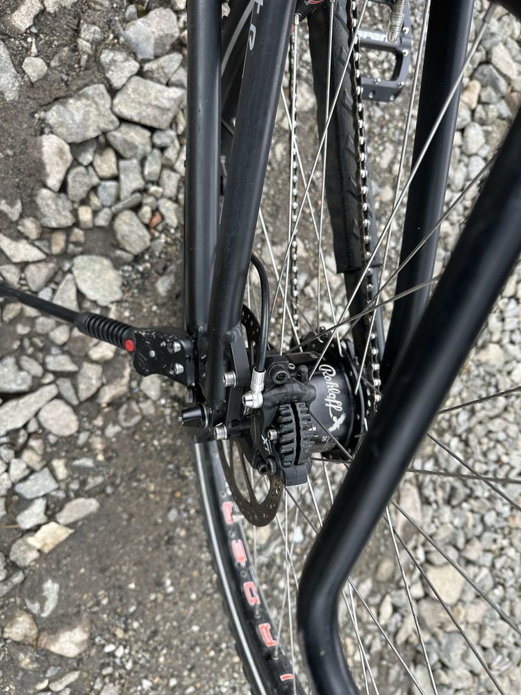 E-bike Riese&Müller Delite Mountain Rohloff M