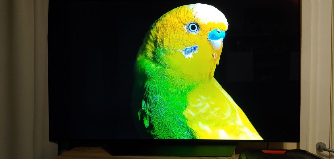 Televizor LG OLED 139 cm OLED55B8PLA