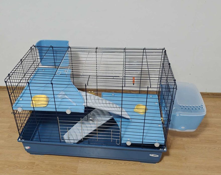 Cusca rozatoare mari - iepure, porc de Guinea