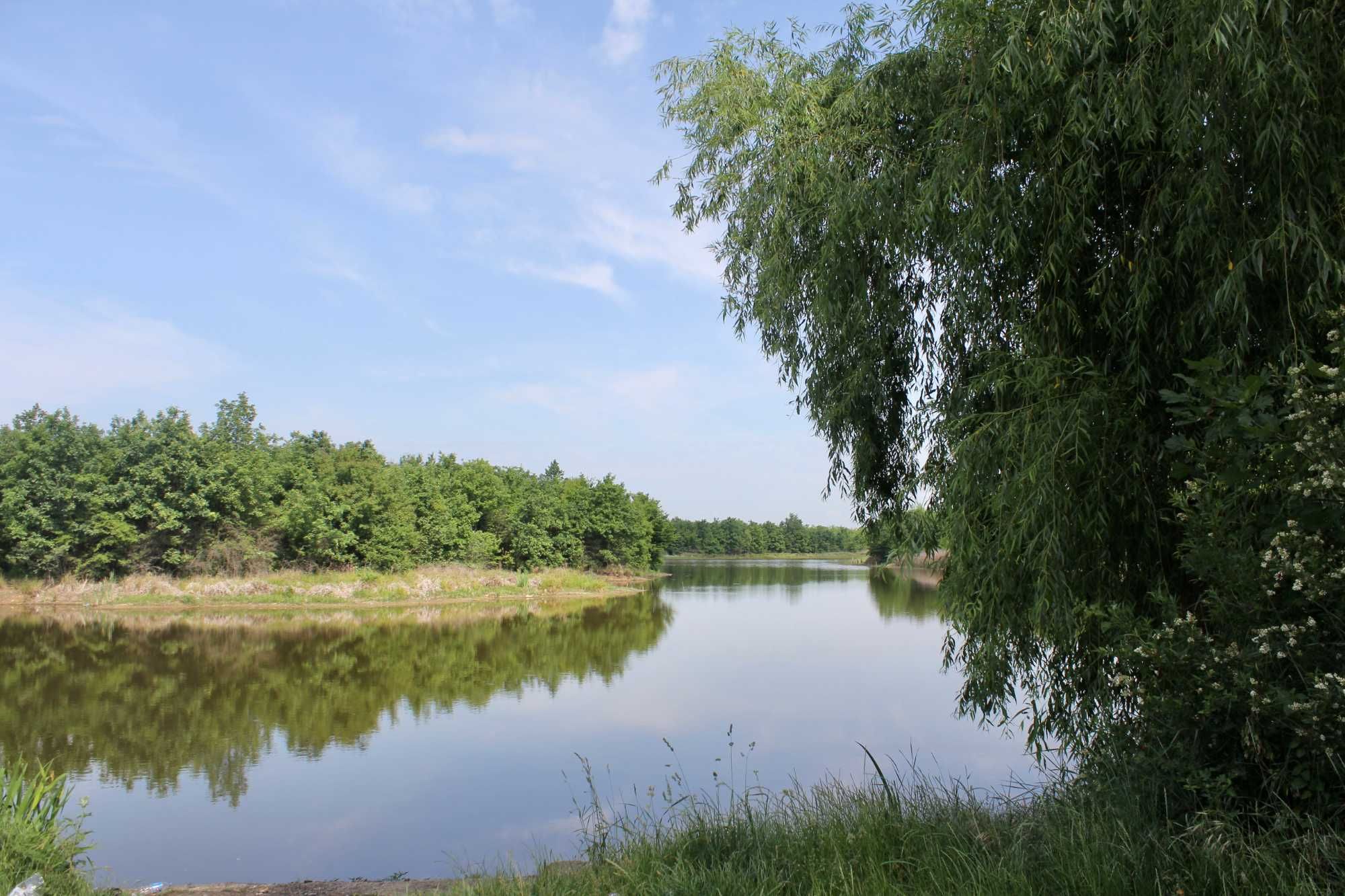 Lac si pasune de vanzare