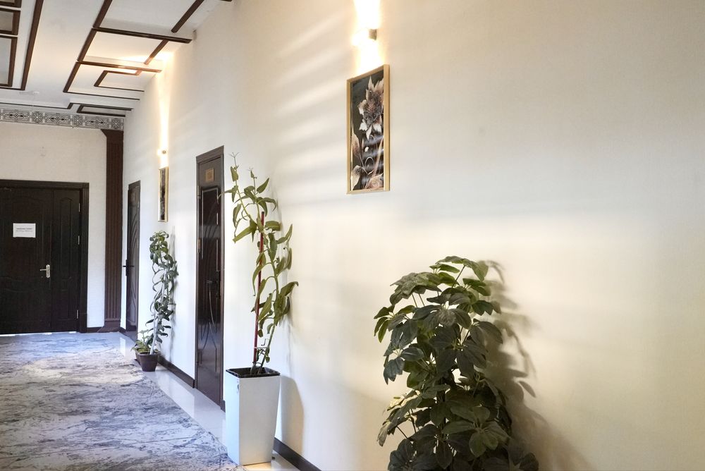 Mehmonxona toshkent,Kunlik ijara toshkent,Hotel Amor fati,Chilonzor
