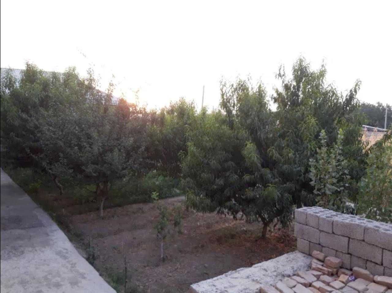 Zangiota Bo'zsuvda 8 sotixli hovli zudlik bilan sotiladi