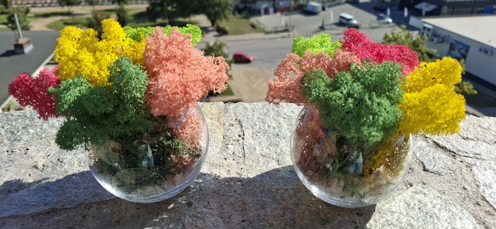 Дървени и стъклени кашпи със скандинавски мъх и цветя