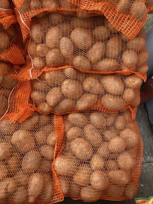 Cartof cosum sac 10 kg