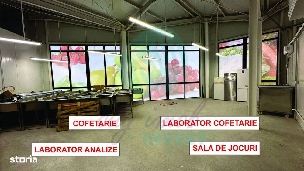 Spatii comerciale de inchiriat, Piata Delfinului