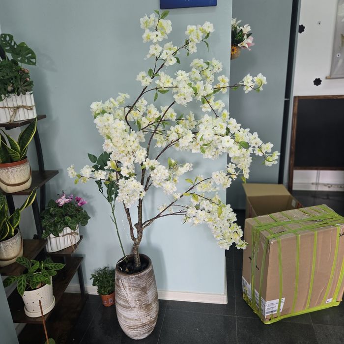 Cires artificial cu vas