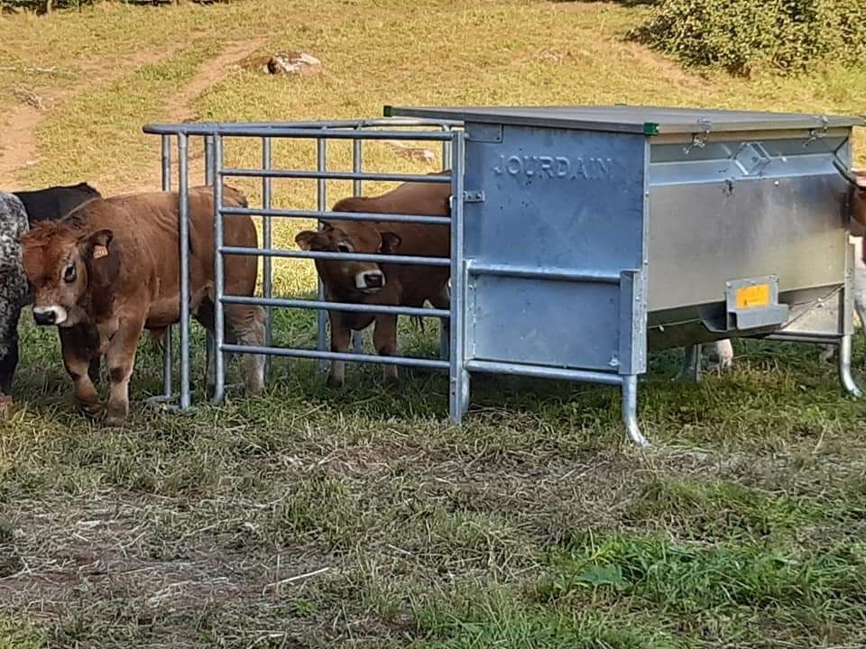 Boxa vitei cu buncar de furaje