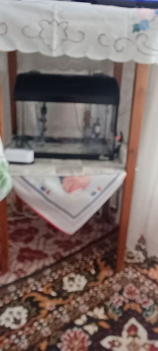 Vind acvariu pești exotici!