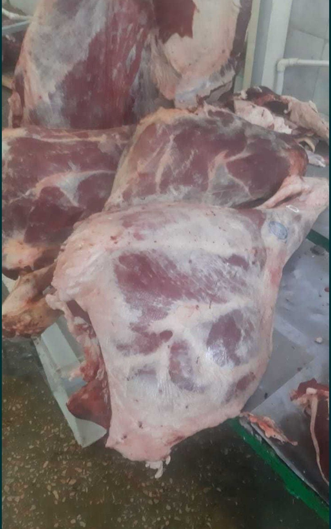 Ляжки от 2500 тг Молодняк мясо говядина Задняя часть Халал Ет