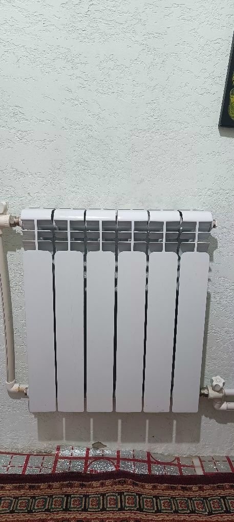 Двухконтурный газовый кател и радиаторы