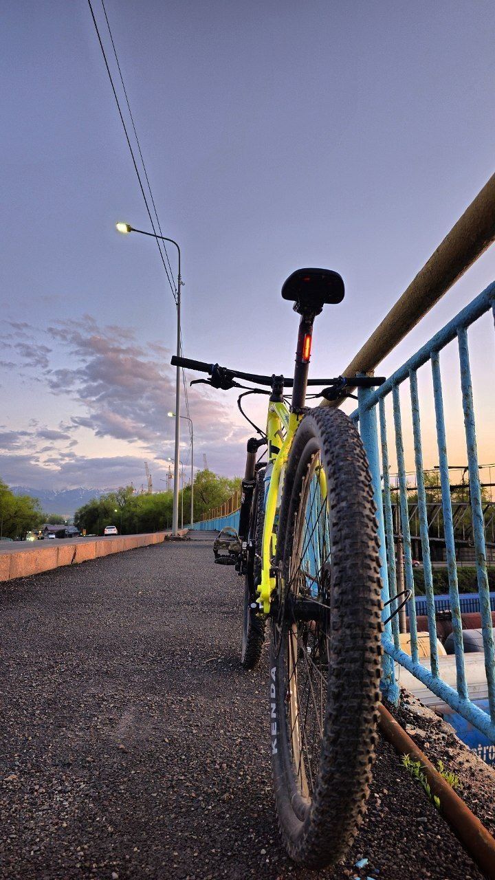 Scott aspect 770