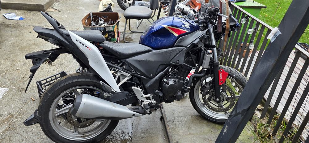 Drzmembrez honda cbr 250r merg si pe cbr  125