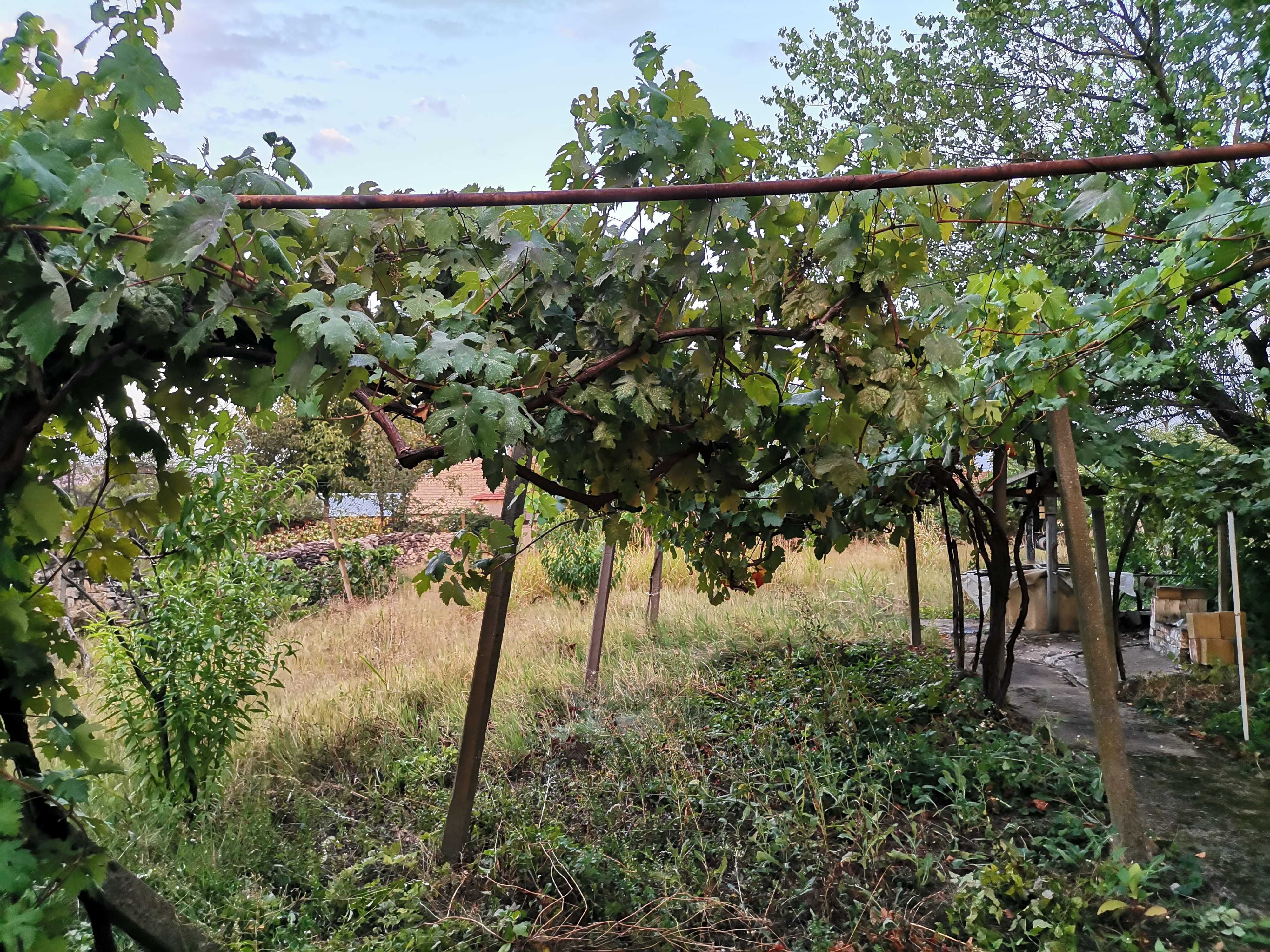 Kъща с двор - село Куцина, обл. В. Търново / House near Veliko Tarnovo
