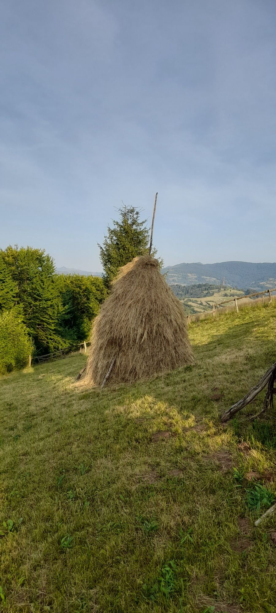 Fân de vânzare din acest an