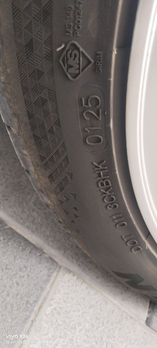 Торус торус торус