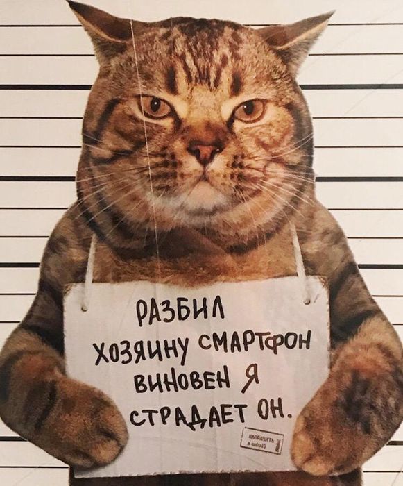 Ремонт телефонов! Качественно и недорого!