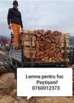 Lemne de foc tăiate
