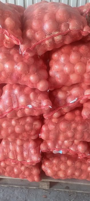 Продам лук сортовой сухой