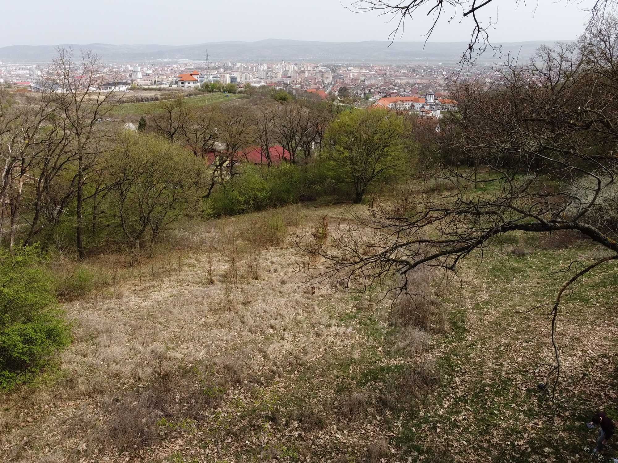 Vand teren intravilan, 1 ha, Alba Iulia, Zona Schit - Persoana fizica