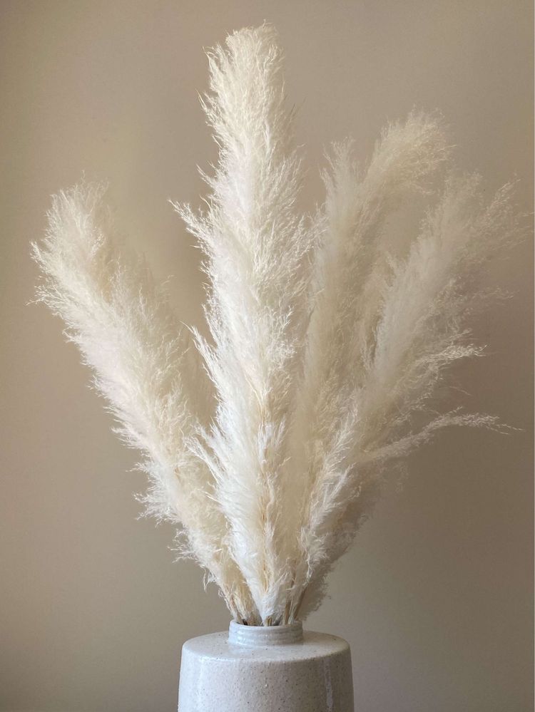 Pampas alb decorativ