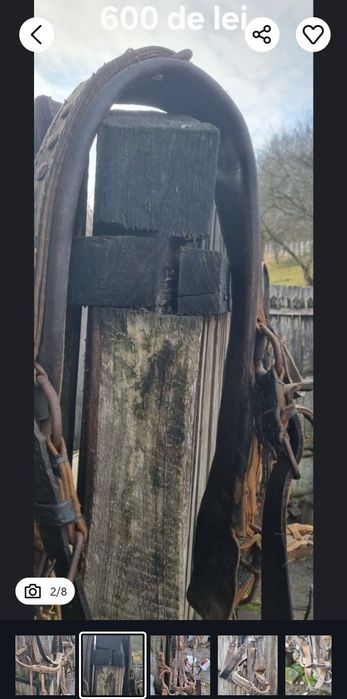 Hamuri cai din piele