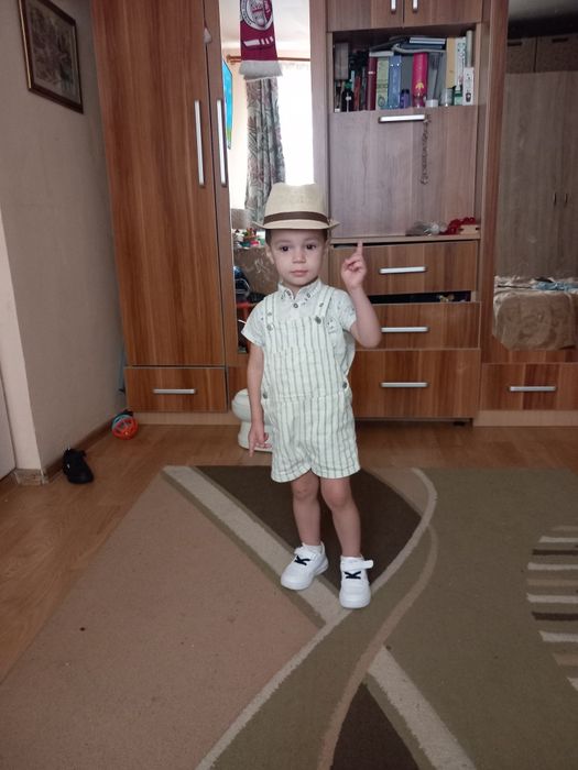 Vaci de vanzare de carne și lapte