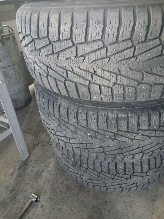 Шины зимний нокиан