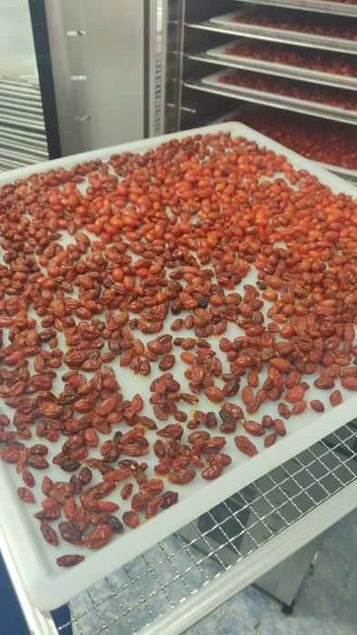 Goji Berry gustoare și aromate