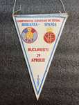 Steag Romania-Spania , 1987 campionatul european