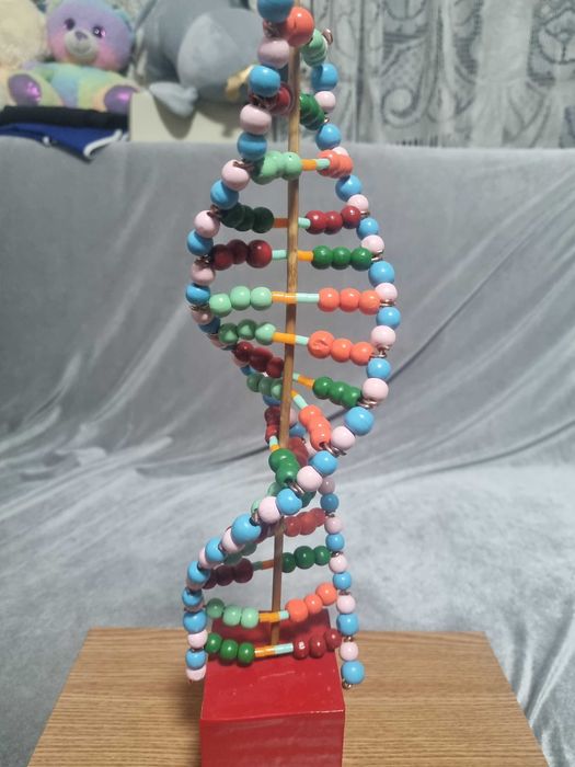 ADN Proiect scoala pentru copii clasa 5-8