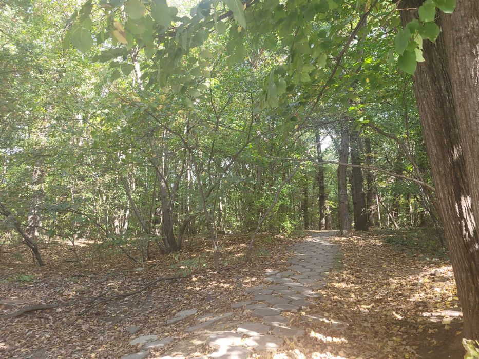 Дава се под наем Тристаен апартамент в София, Дианабад - 85 кв.м за 867 € - Снимка #14