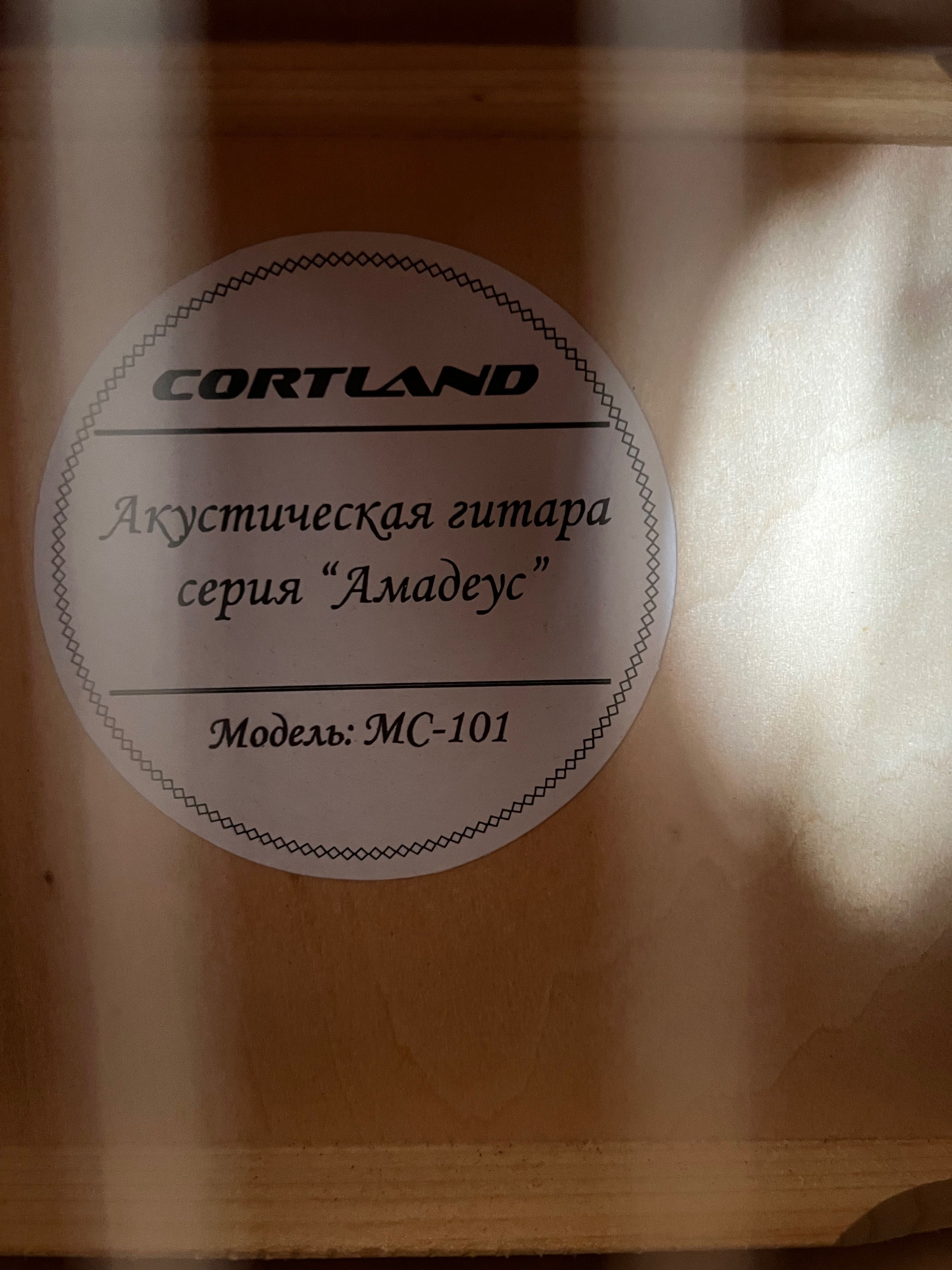 Гитара Cortland Mc 101