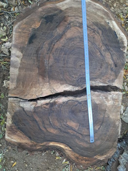 Rondele nuc. PRET SUPER BUN