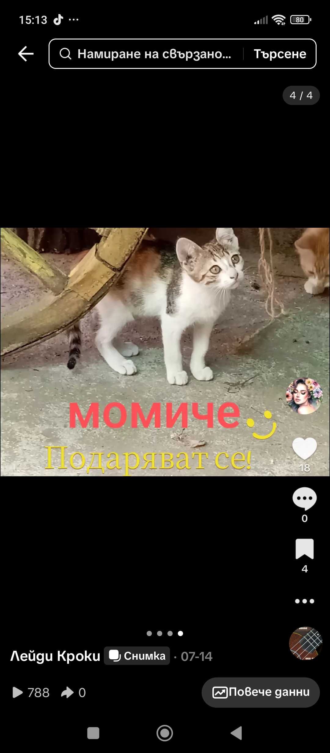 Оранжево и трицветно галено коте се подават
