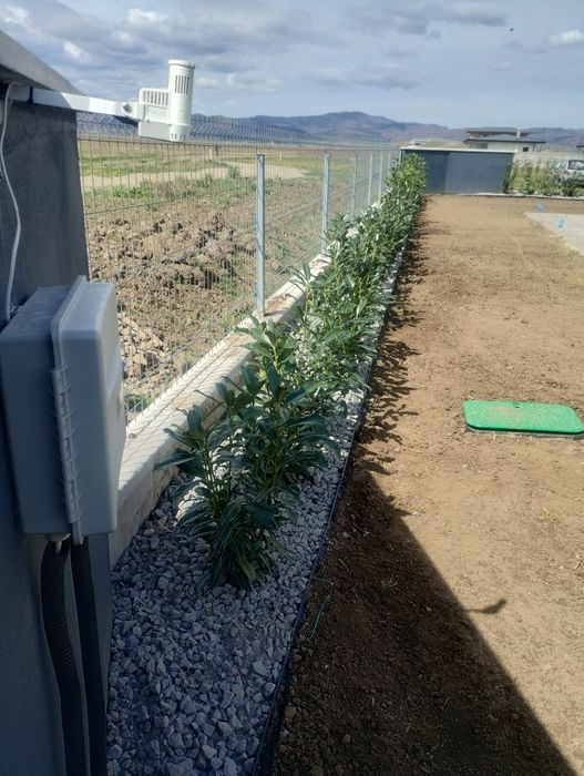 Irigații • Gazon ruloui • Platări tuia• Tuns iarba