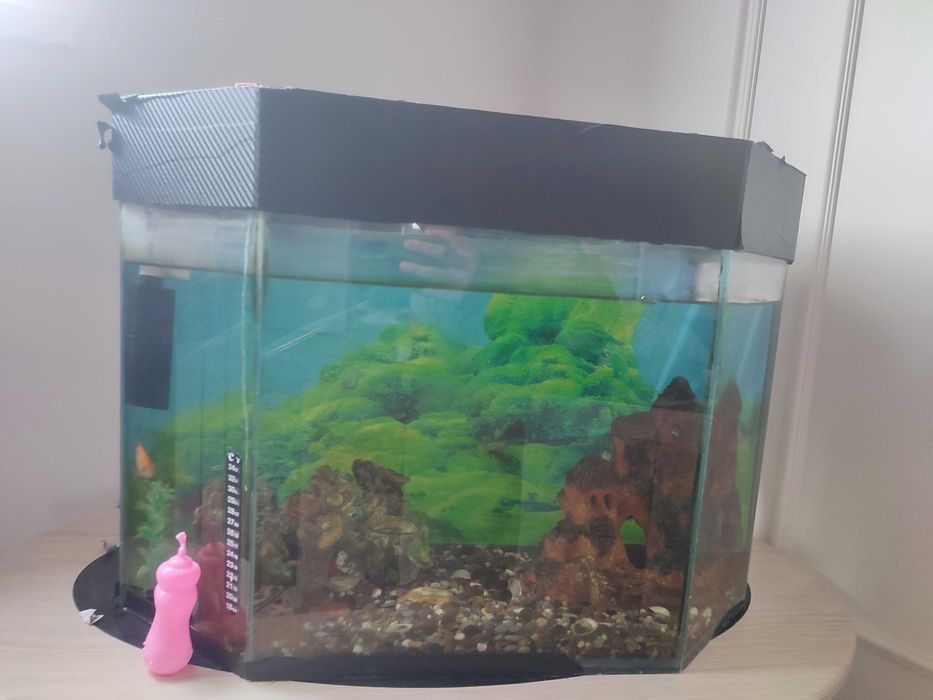 Аквариум  сатылады