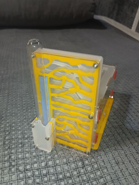 Муравьиная ферма, формикарий