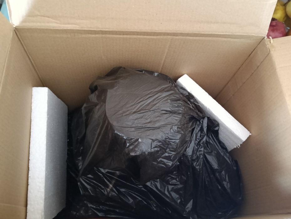 Storcător de fructe și legume Albatros