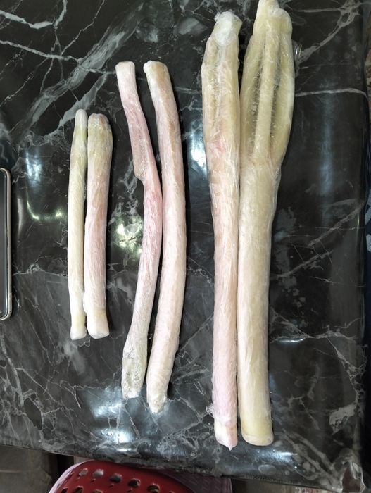 Dovcha, Koksulton, Ravoch bor holol