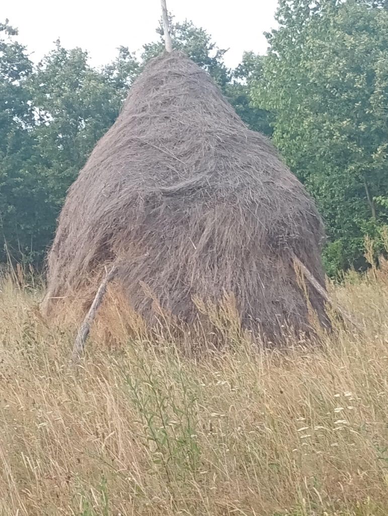 De vânzare fan de gradina