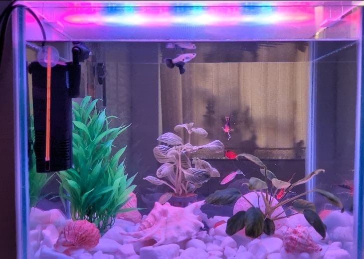 Acvariu  30L/ echipat complet