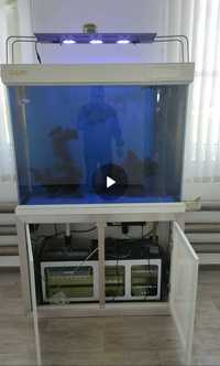 Продам морской аквариум
