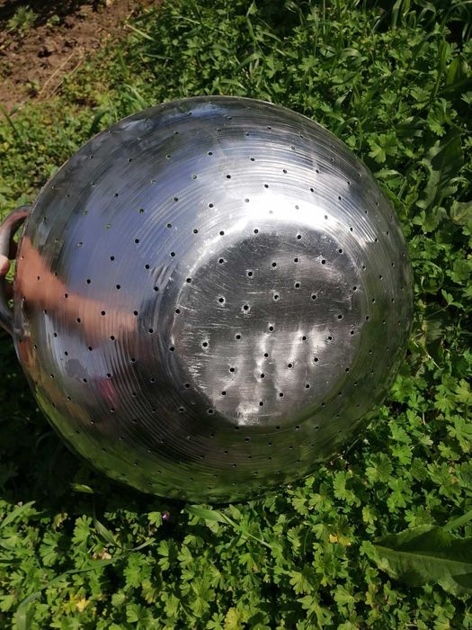 Голямо сито гевгир