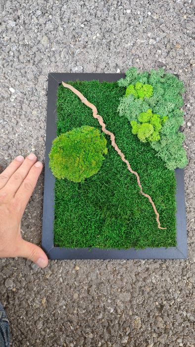 Tablou cu mușchi si licheni stabilizati